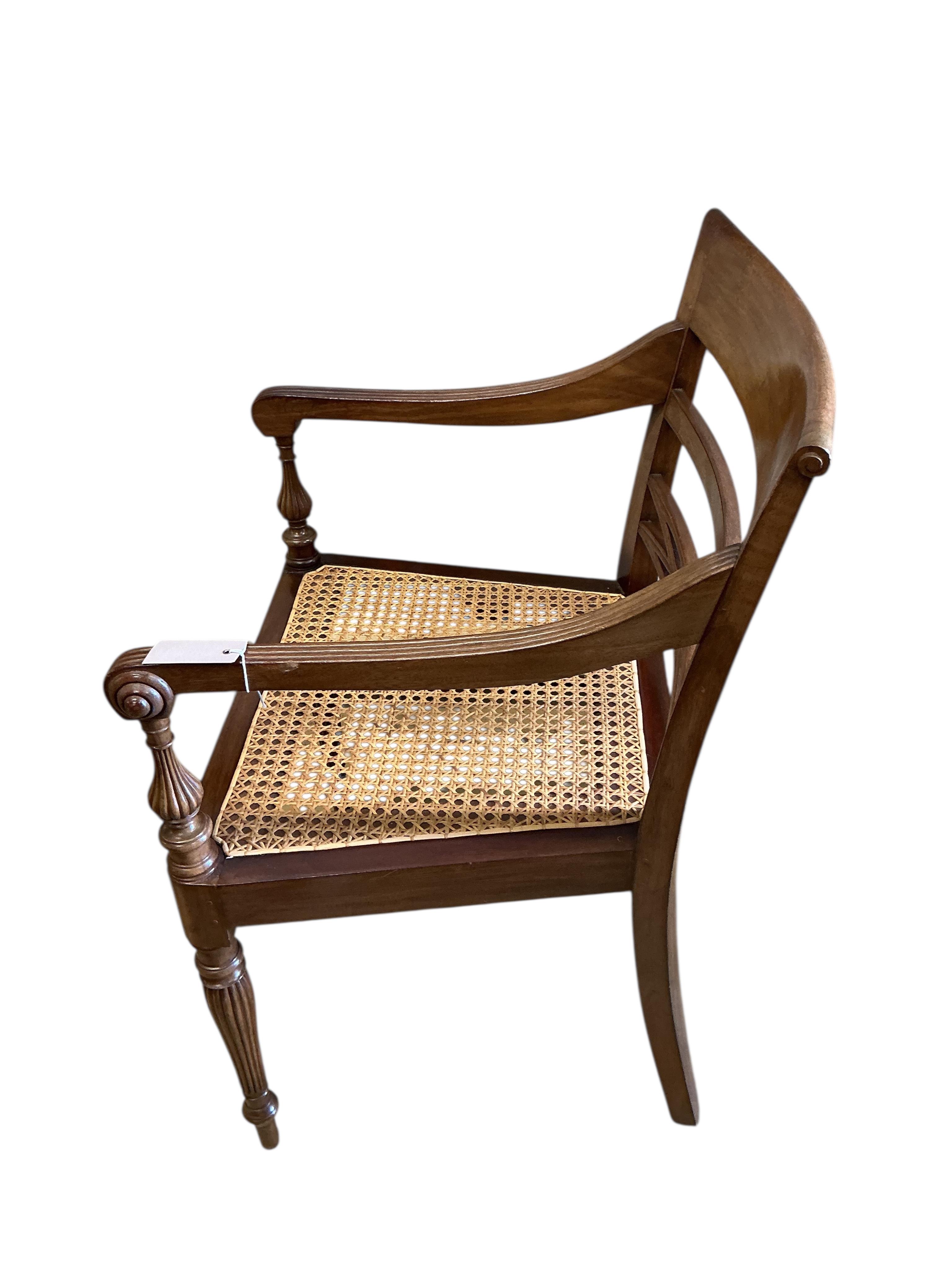 A pair of Regency style cane seat hardwood elbow chairs, width 54cm, depth 46cm, height 88cm